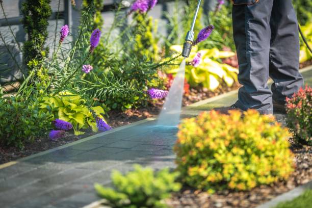 Best Dumpster Area Cleaning  in Washington, NJ